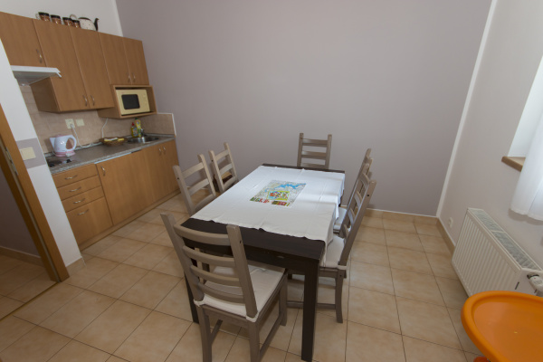 Ubytování - Lipno - Penzion ve Frymburku - kuchyň v apartmánu